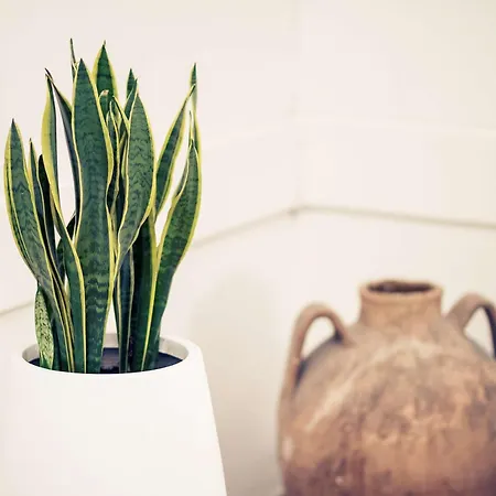 Sunbay Park Отель Чивитавеккья